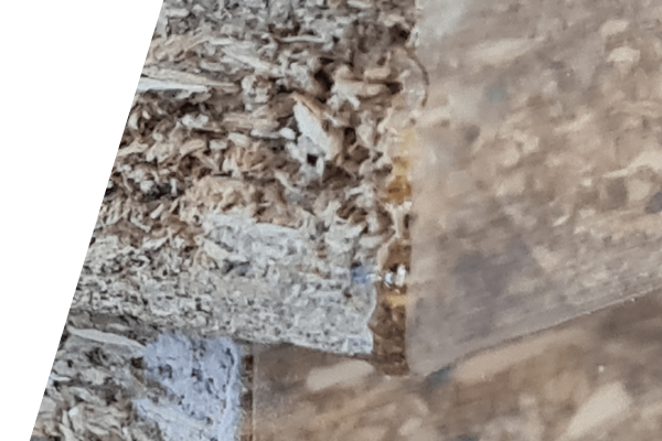 Xiloma-csealing-6 Xiloma-csealing-6