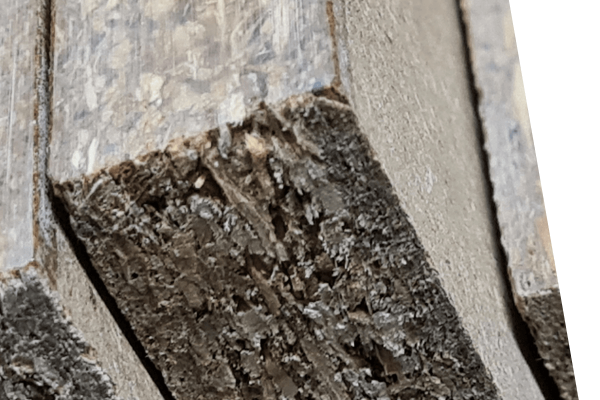 Xiloma-csealing-7 Xiloma-csealing-7